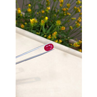 5.71 Ct. Ruby from Mozambique Life Style