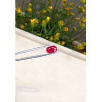 4.21 Ct. Ruby from Mozambique Life Style