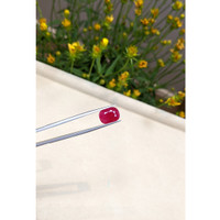 5.02 Ct. Ruby from Mozambique Life Style