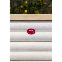 3.82 Ct. Ruby from Mozambique Life Style