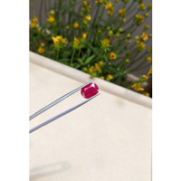 3.80 Ct. Ruby from Mozambique Life Style