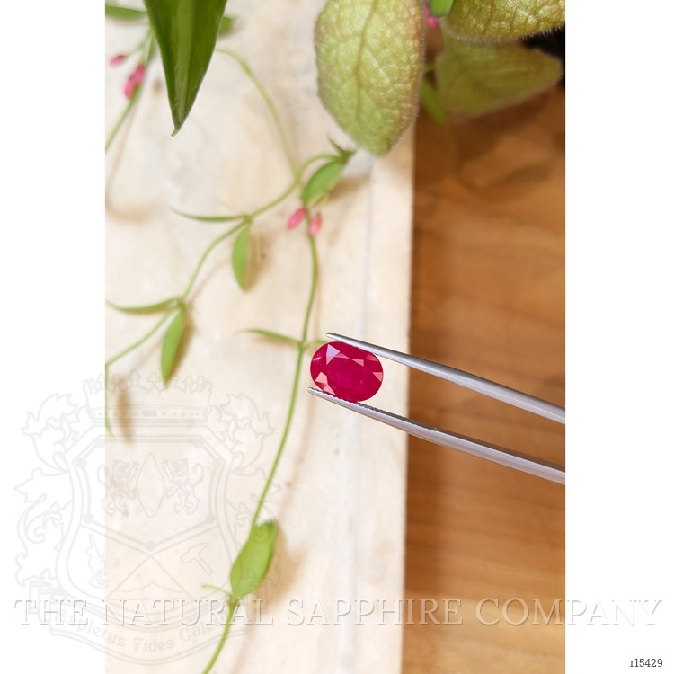 3.70 Ct. Ruby from Mozambique