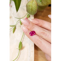 3.70 Ct. Ruby from Mozambique Life Style