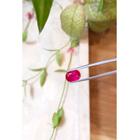 3.25 Ct. Ruby from Mozambique Life Style
