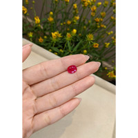 2.68 Ct. Ruby from Mozambique Life Style