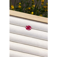 2.68 Ct. Ruby from Mozambique Life Style