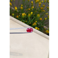 4.28 Ct. Ruby from Mozambique Life Style