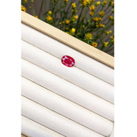 4.32 Ct. Ruby from Mozambique Life Style