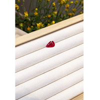 2.57 Ct. Ruby from Mozambique Life Style