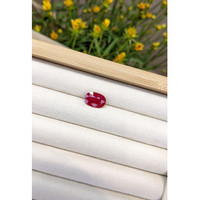4.02 Ct. Ruby from Mozambique Life Style