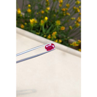 2.63 Ct. Ruby from Mozambique Life Style