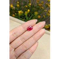 2.63 Ct. Ruby from Mozambique Life Style