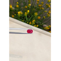 2.80 Ct. Ruby from Mozambique Life Style