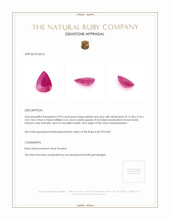 3.99 Ct. Ruby from Mozambique Appraisal