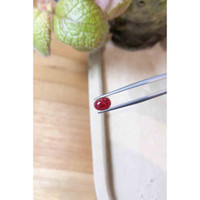 1.77 Ct. Cabochon Ruby from Mozambique Life Style