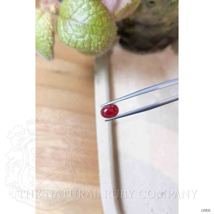 1.77 Ct. Cabochon Ruby from Mozambique