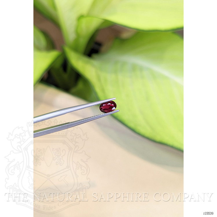 0.65 Ct. Ruby from Thailand