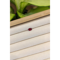 0.65 Ct. Ruby from Thailand Life Style