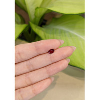 0.65 Ct. Ruby from Thailand Life Style