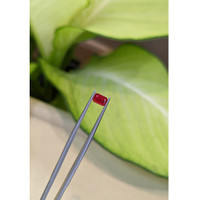 0.60 Ct. Ruby from Mozambique Life Style