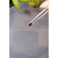 0.64 Ct. Ruby from Mozambique Life Style