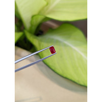 0.67 Ct. Ruby from Mozambique Life Style