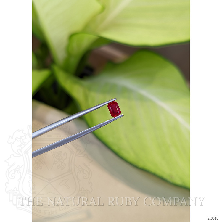 0.67 Ct. Ruby from Mozambique
