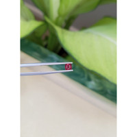 0.58 Ct. Ruby from Thailand Life Style
