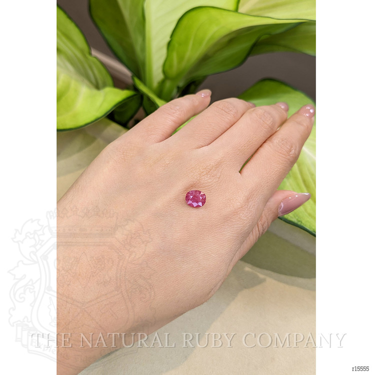 1.65 Ct. Ruby from Mozambique