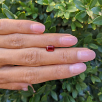 1.15 Ct. Ruby from Mozambique Life Style
