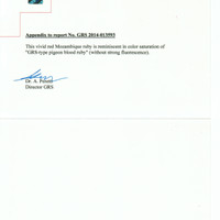 3.10 Ct. Ruby from Mozambique Scan Report