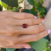 4.04 Ct. Ruby from Mozambique Life Style