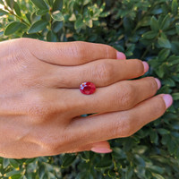 2.40 Ct. Ruby from Burma (Myanmar) Life Style