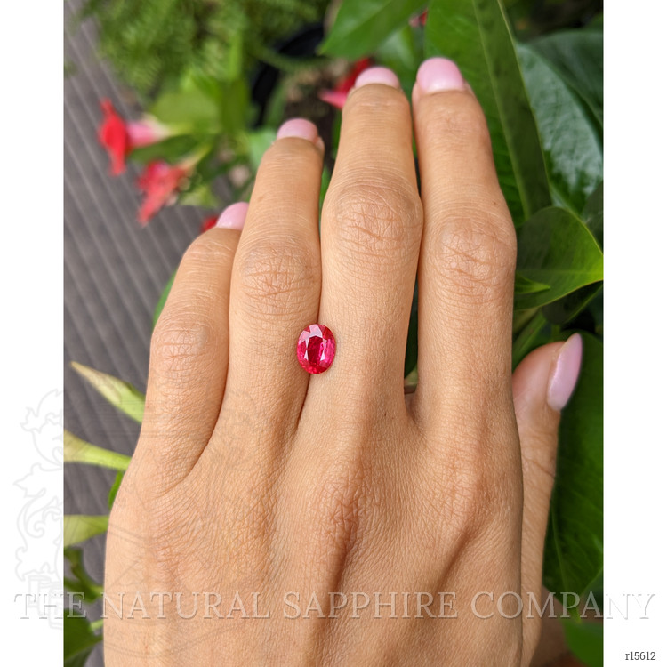 1.68 Ct. Ruby from Mozambique