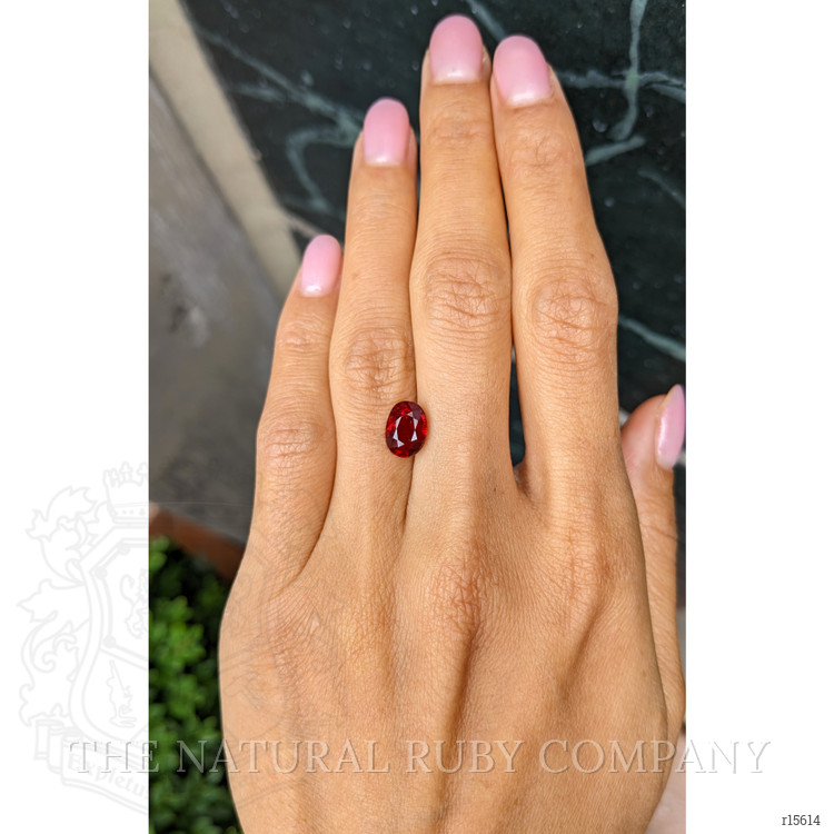 3.01 Ct. Ruby from Mozambique