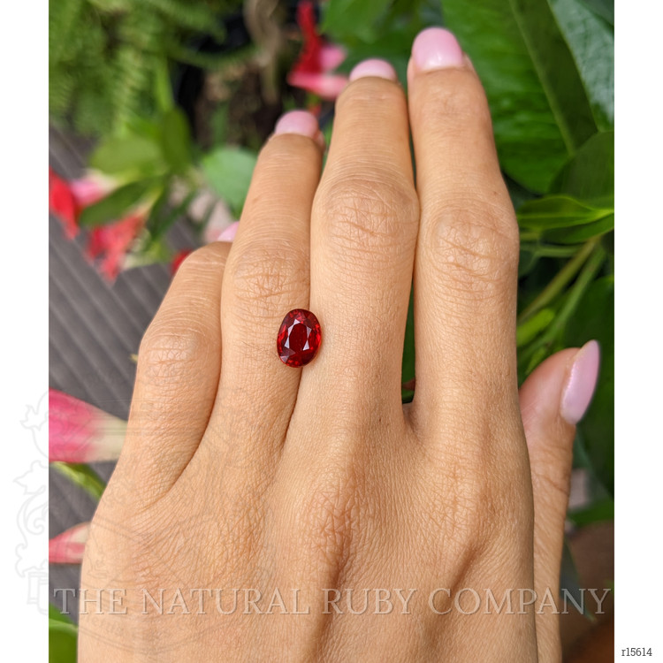 3.01 Ct. Ruby from Mozambique