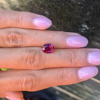 2.53 Ct. Ruby from Mozambique Life Style