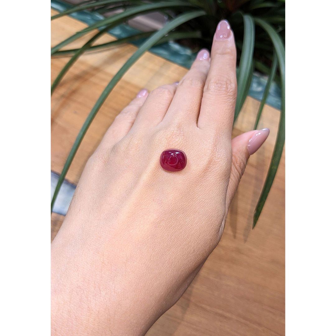 Loose Ruby - Cushion 9.57 Ct. - #R15631 | The Natural Ruby Company