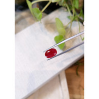 3.85 Ct. Ruby from Mozambique Life Style