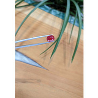 2.92 Ct. Ruby from Mozambique Life Style