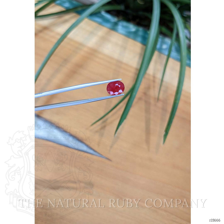 2.92 Ct. Ruby from Mozambique