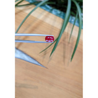 2.81 Ct. Ruby from Mozambique Life Style