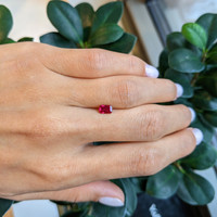 0.68 Ct. Ruby from Burma (Myanmar) Life Style