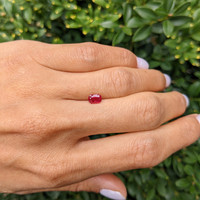 0.83 Ct. Ruby from Burma (Myanmar) Life Style