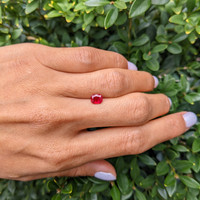 1.00 Ct. Ruby from Burma (Myanmar) Life Style