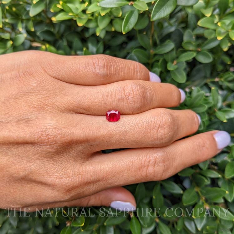 1.00 Ct. Ruby from Burma (Myanmar)