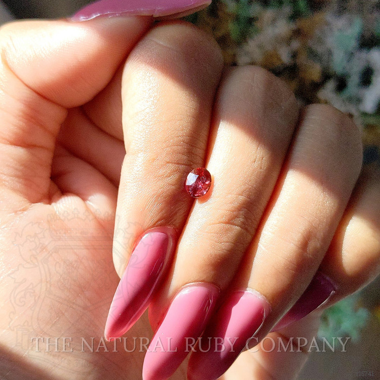 0.59 Ct. Ruby from Mozambique