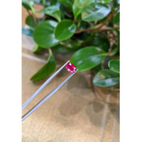 1.43 Ct. Ruby from Burma (Myanmar) Life Style