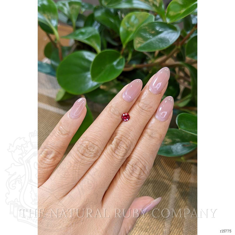 0.56 Ct. Ruby from Mozambique