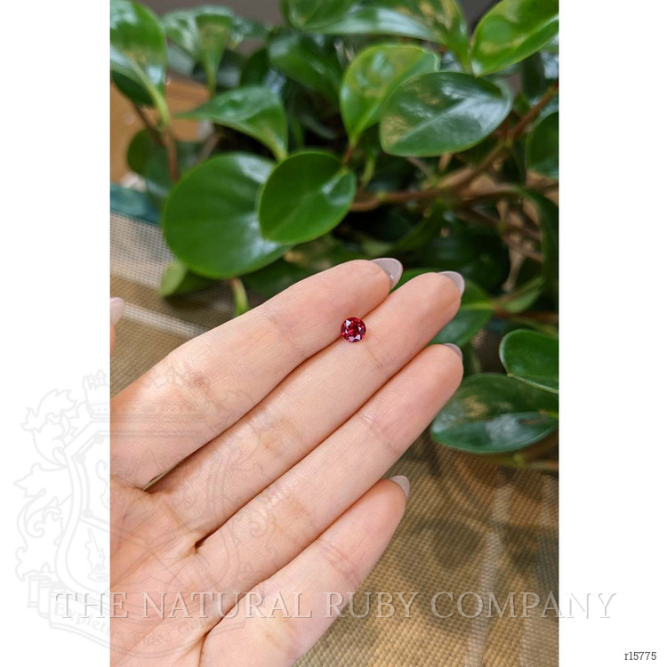 0.56 Ct. Ruby from Mozambique